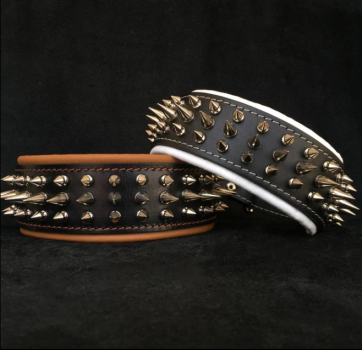 "Danger" Halsband